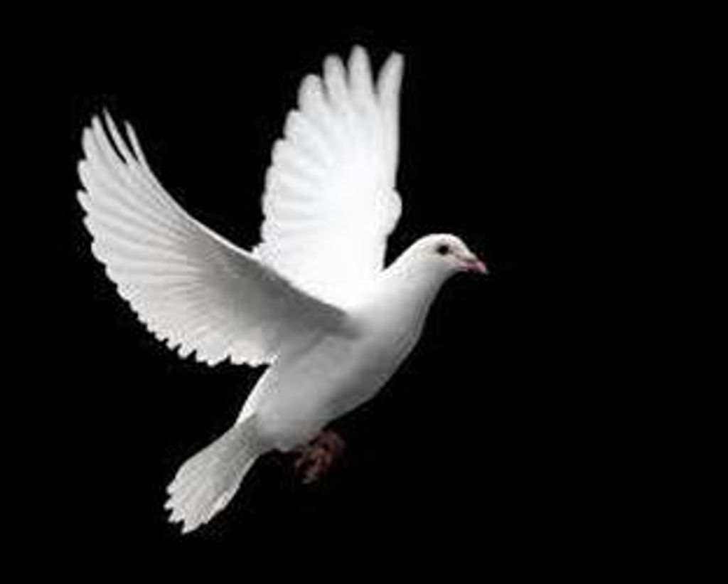 Jimmy Lee Fletcher, Sr.