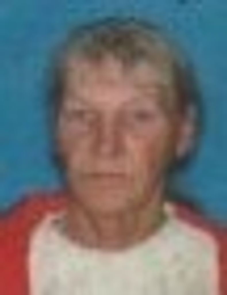 Elizabeth Ann (Moncy)  Turner