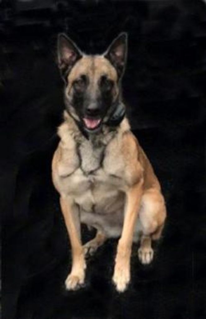 Lucy Lou Shope Profile Photo