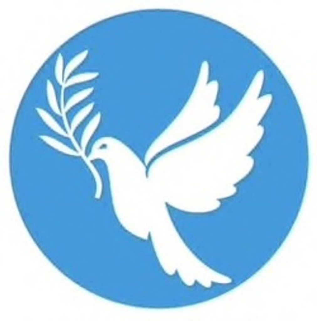 Joe Ivy Profile Photo