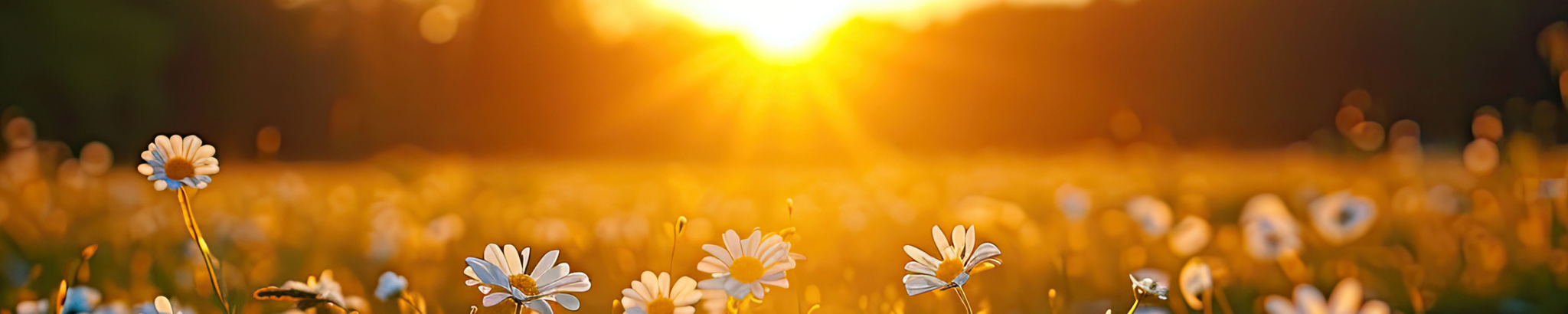 Cover for Jamie Joleene Hinton's Obituary