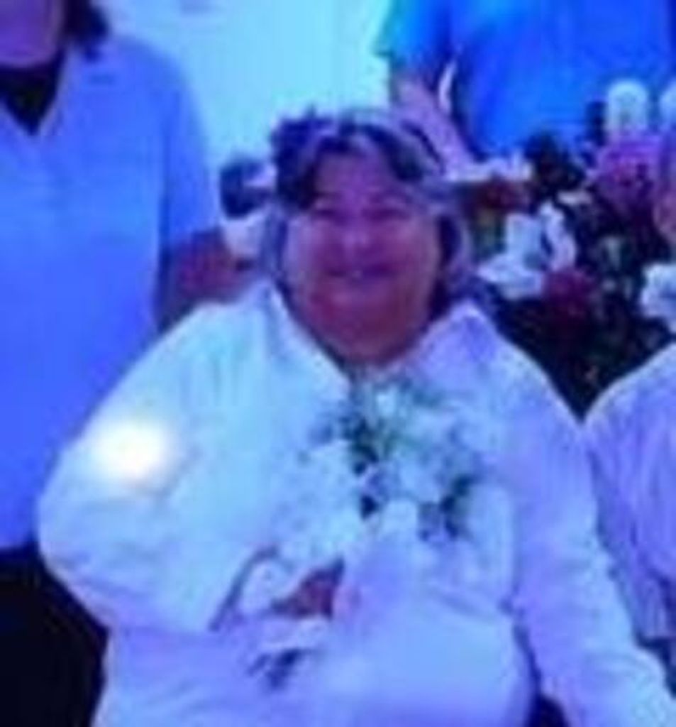 Priscilla Perkins Profile Photo