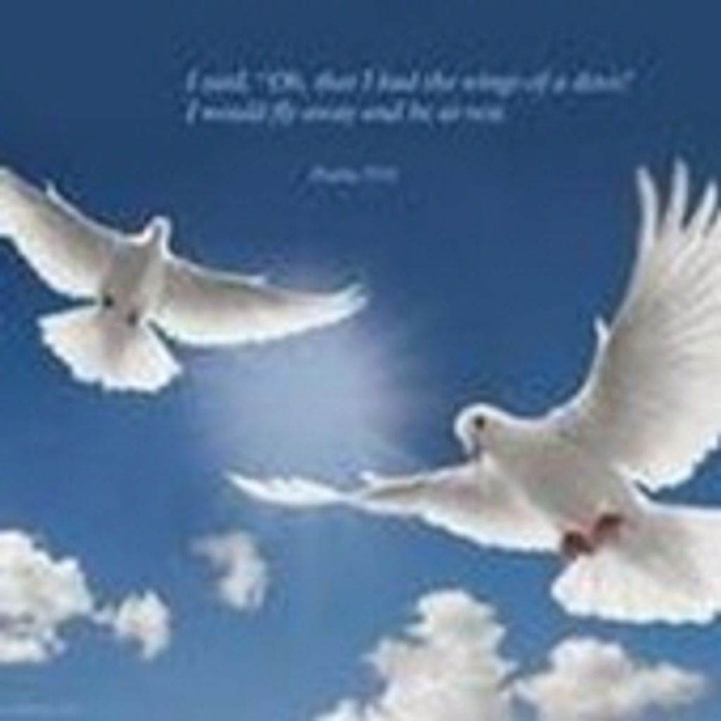 Linda Ruth Carpenter