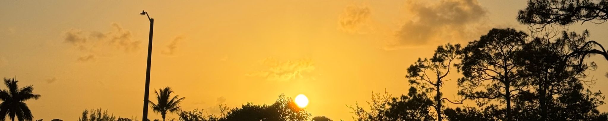 Cover for Connie Marie Noto's Obituary