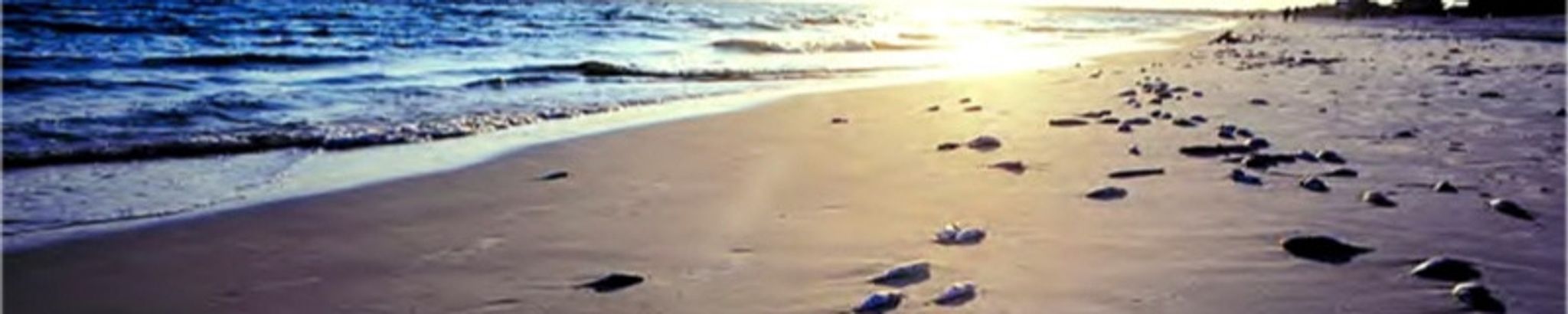 Cover for Jerry Clifford Lischke's Obituary