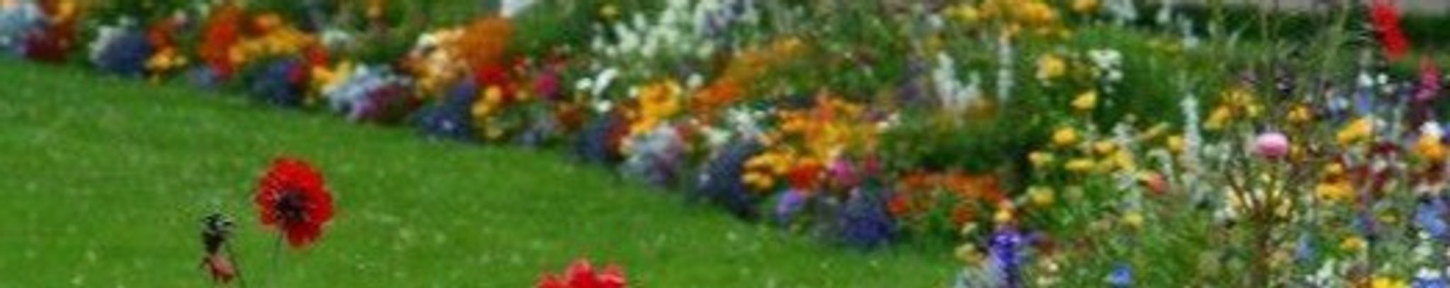 Cover photo for Barbara Hettenhouser's Obituary