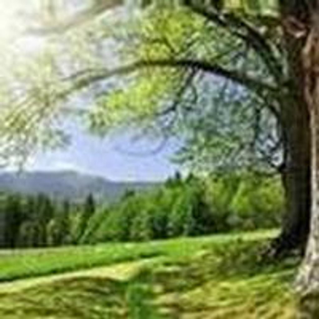 Mary Bridget Culhane