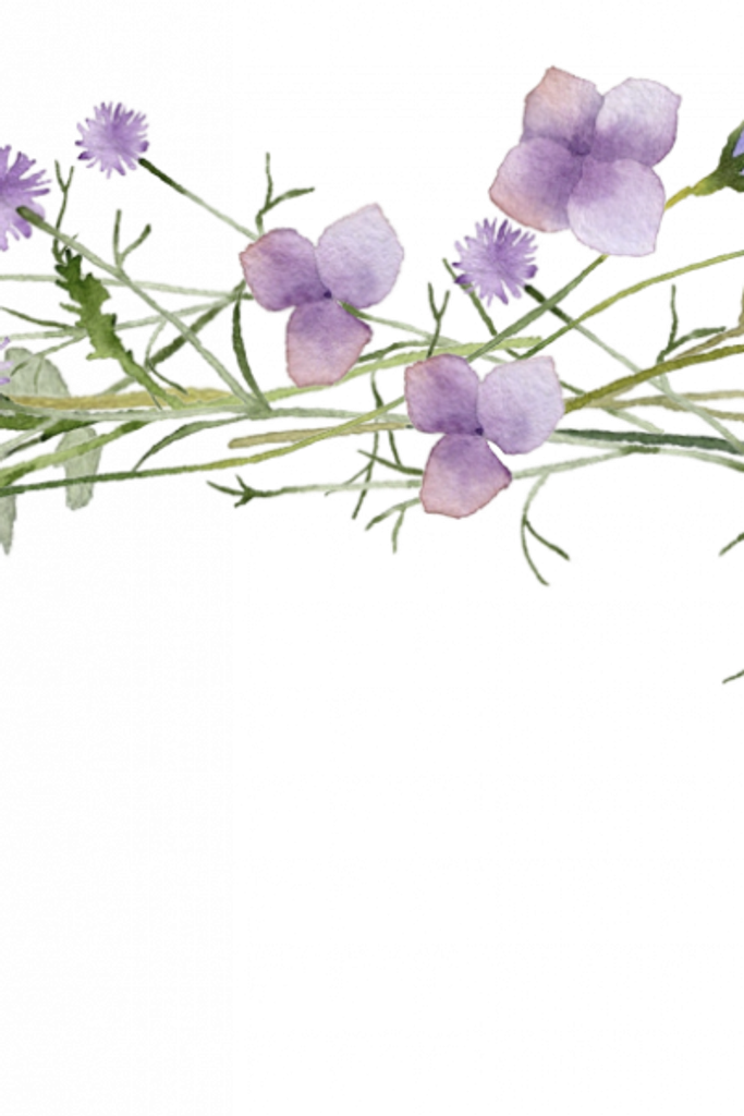 Carol F. Wechselberger
