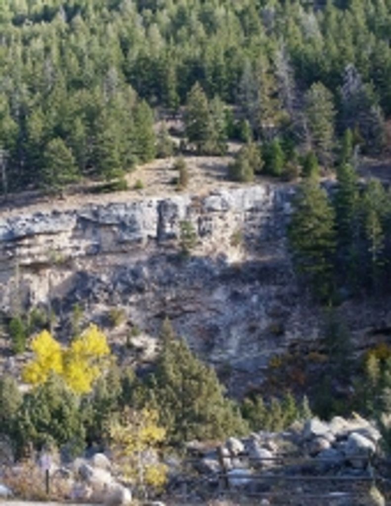 Andrew Boulette Profile Photo