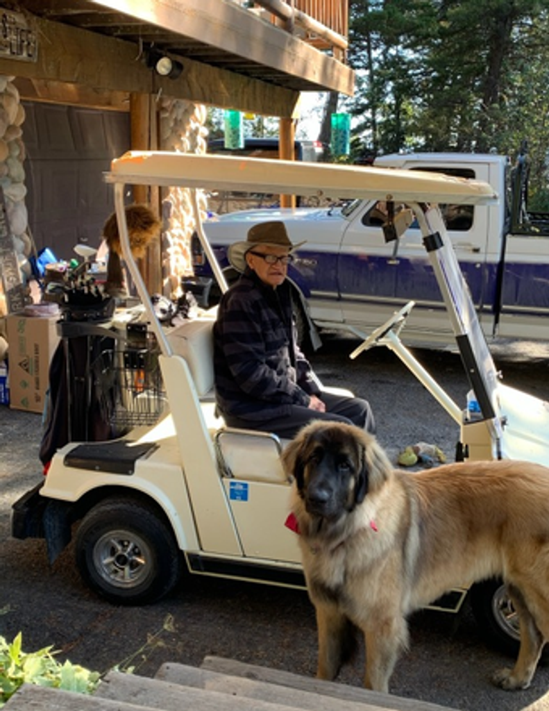 Dan H Hokanson Profile Photo