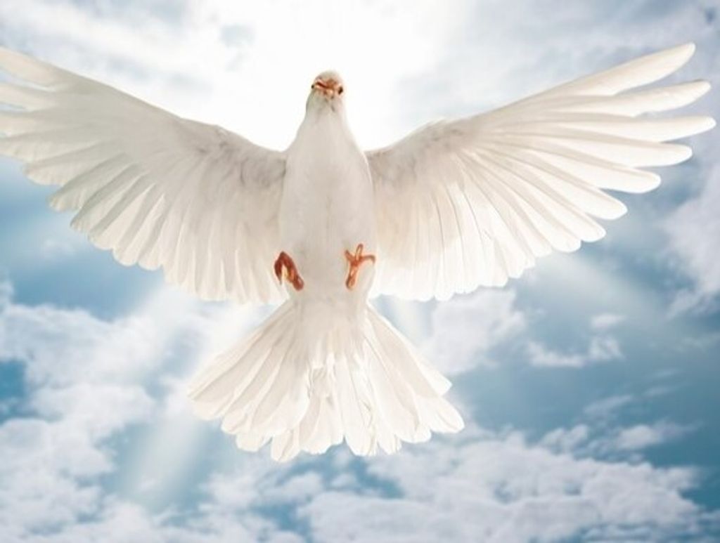 Yvonne "Bonnie" D. Krehbiel