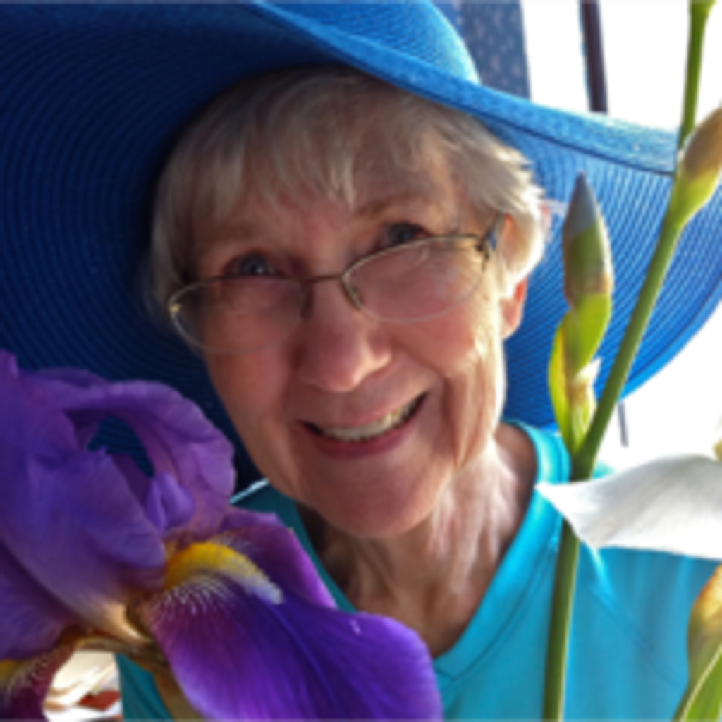 Marilyn Clark