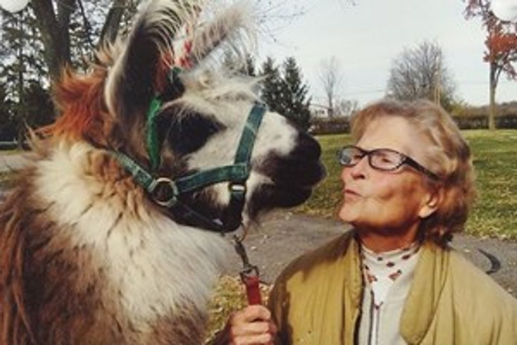 Dorothy W. Nyswaner