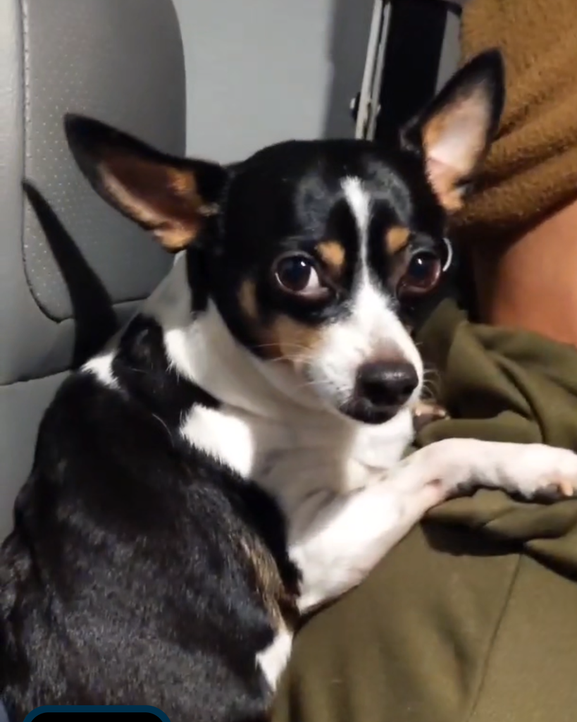 Zoe Profile Photo