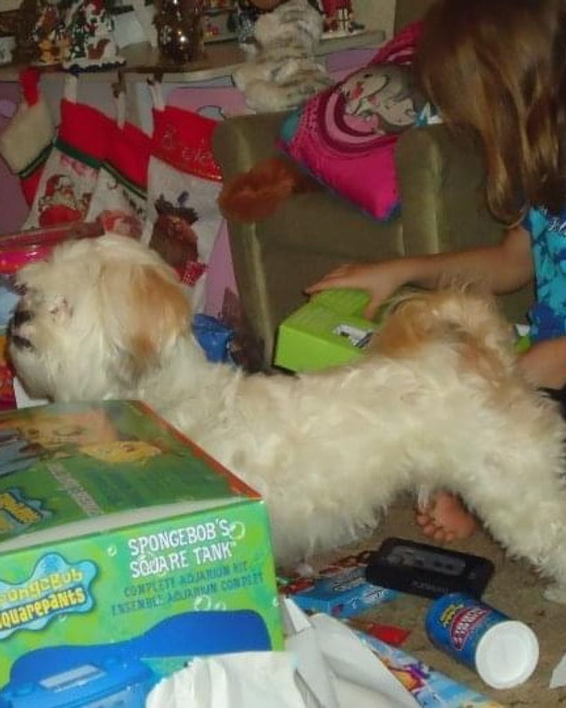 Max "Maxi Pad" Milner Profile Photo