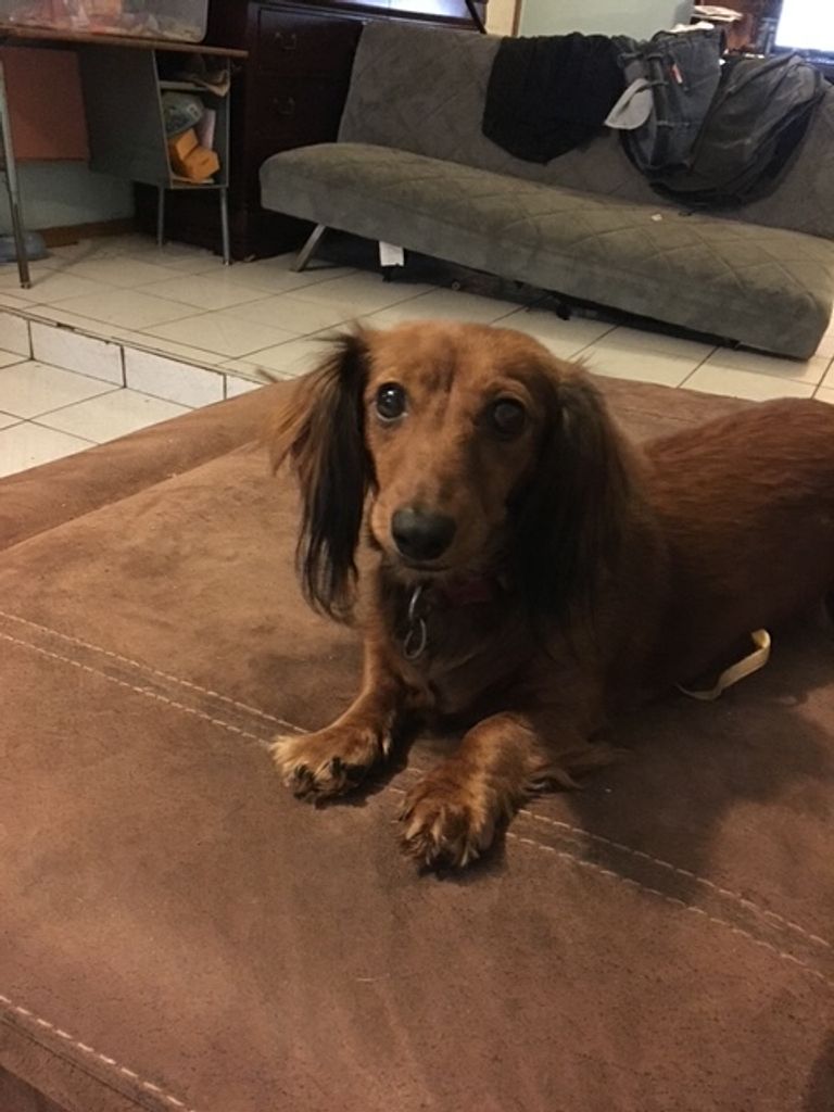 Bella Valdez Profile Photo