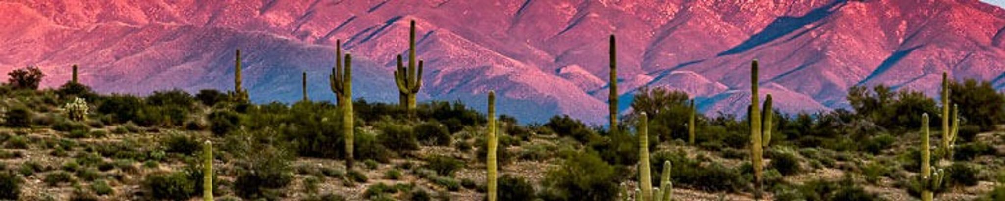 Cover for Joseph "Joey" Heaps's Obituary