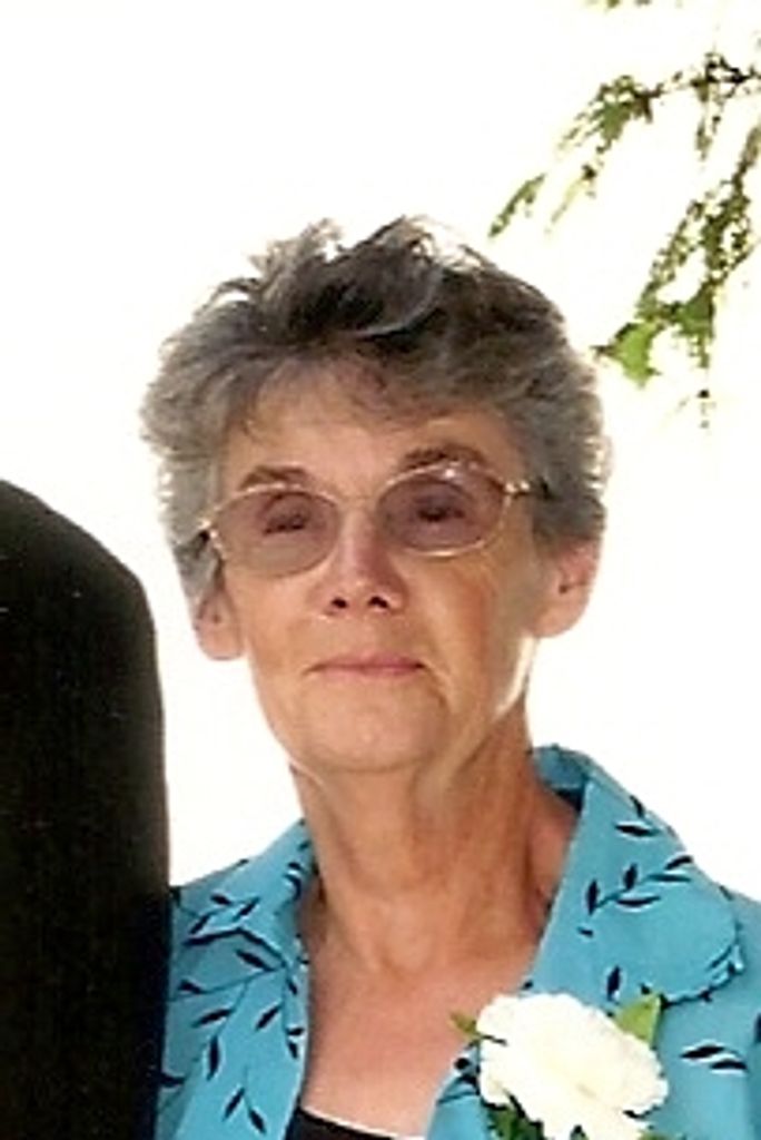 Colleen R. (Mcintire)  Fleshman