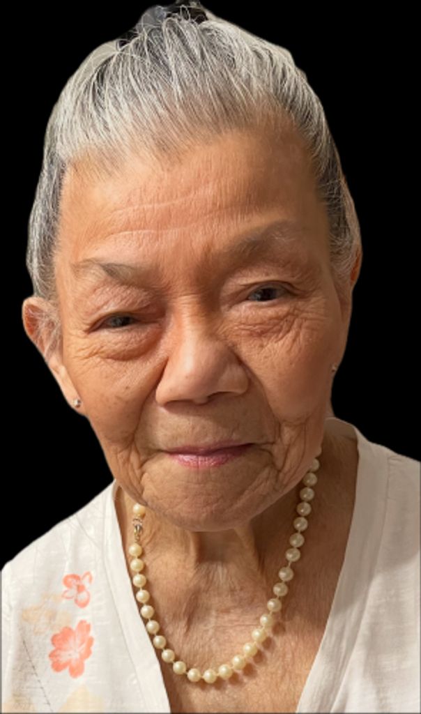 Ellen Hong Phuong Thi Saylor Profile Photo