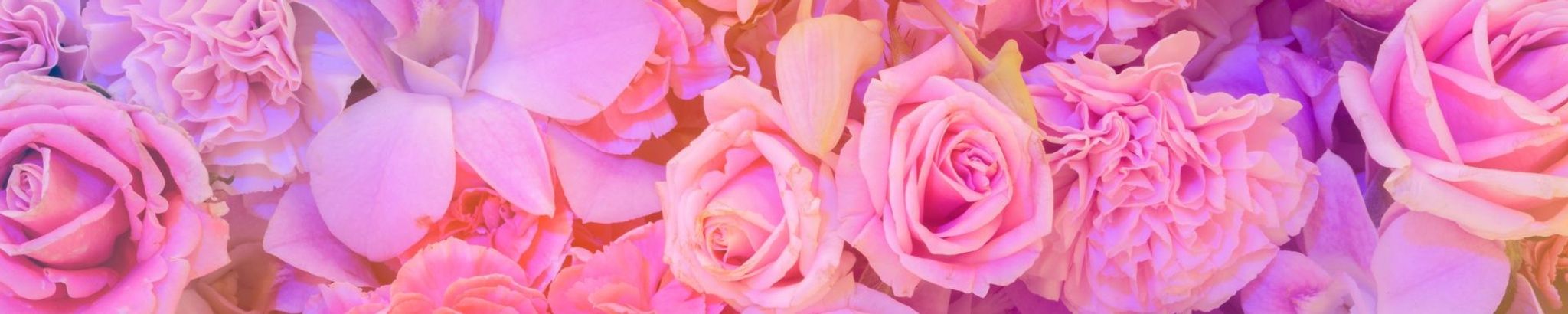 Cover photo for Nancy M. Hardy's Obituary