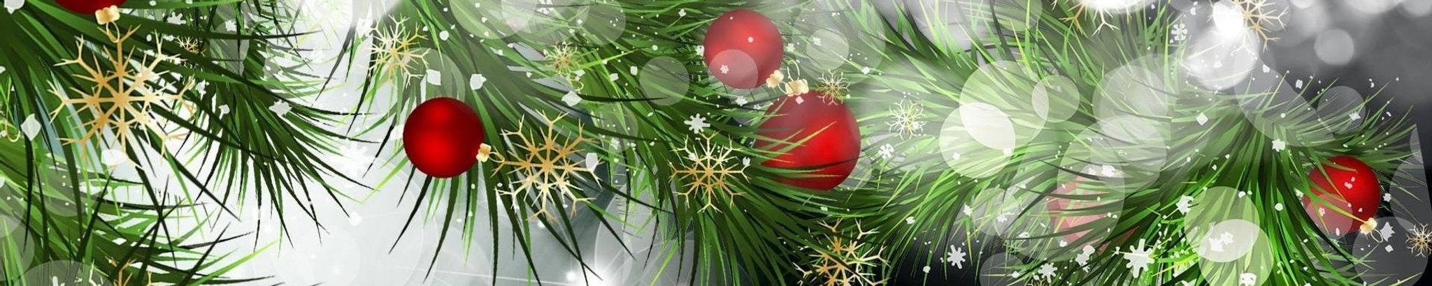 Cover for Carol L. Quinn's Obituary