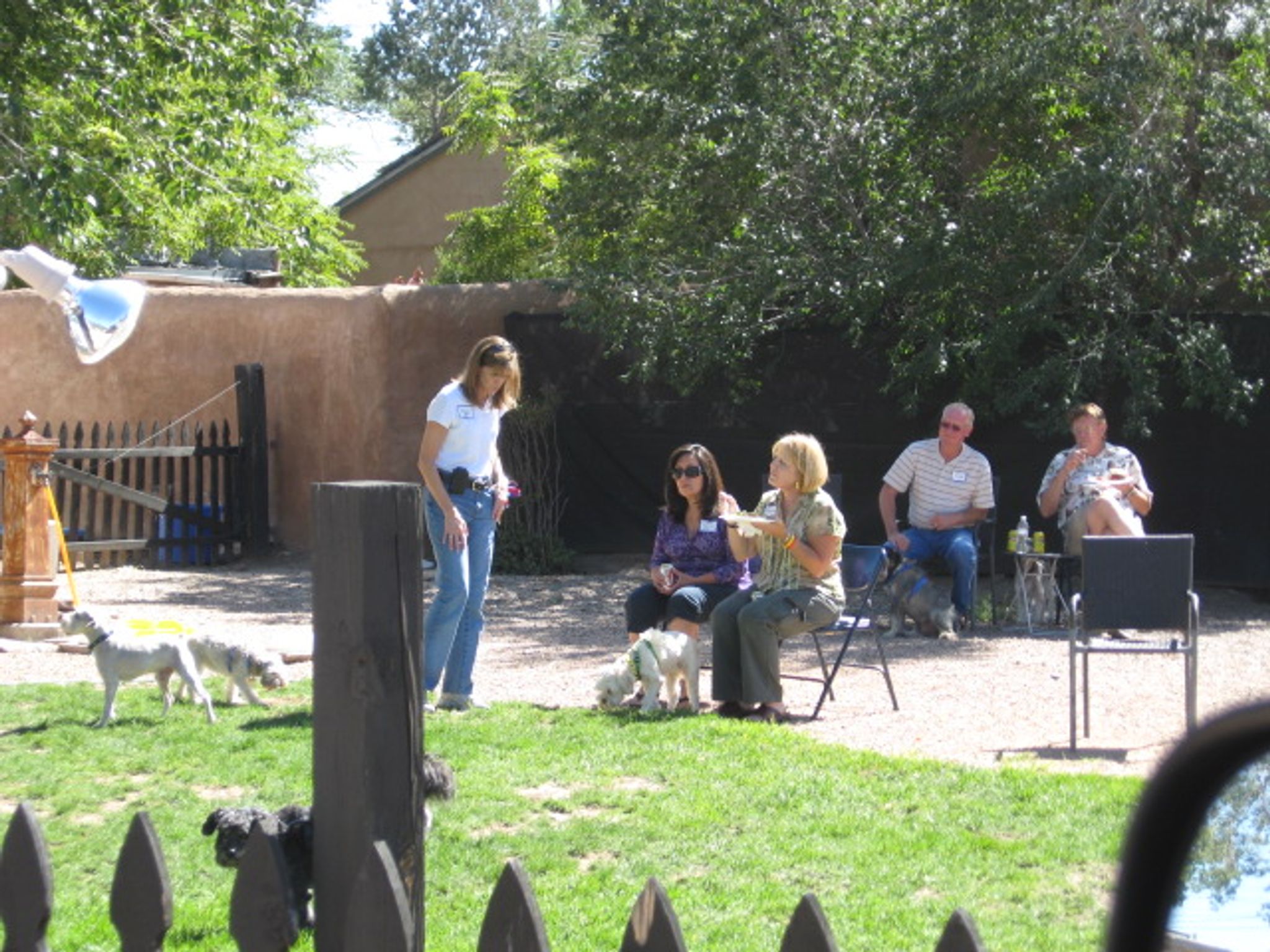 MaryEllen Carr photo gallery image 1 of 3