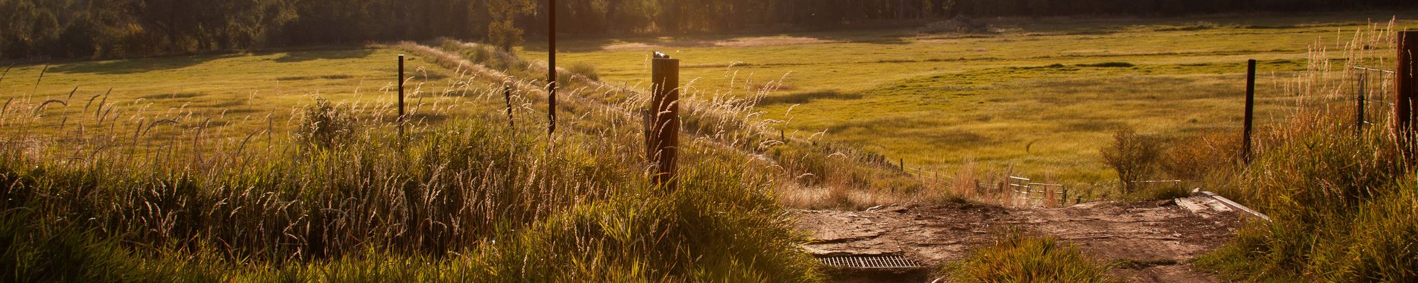 Cover for Frederick McKee Mossman's Obituary