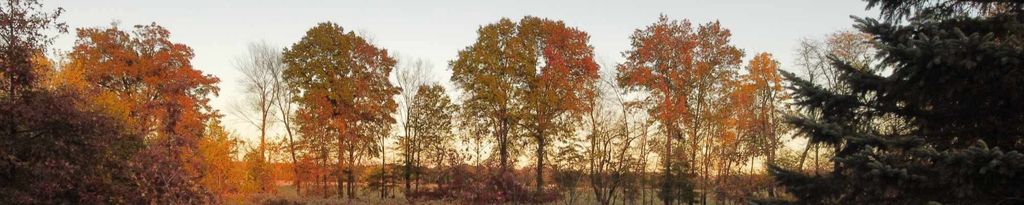 Cover photo for Harvey Dale Leed's Obituary