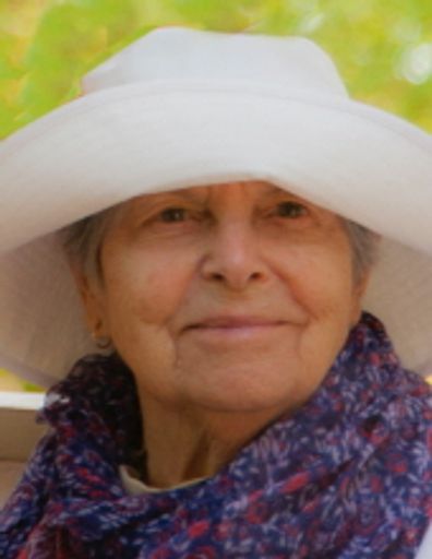 Theresa S. Cipolla Profile Photo