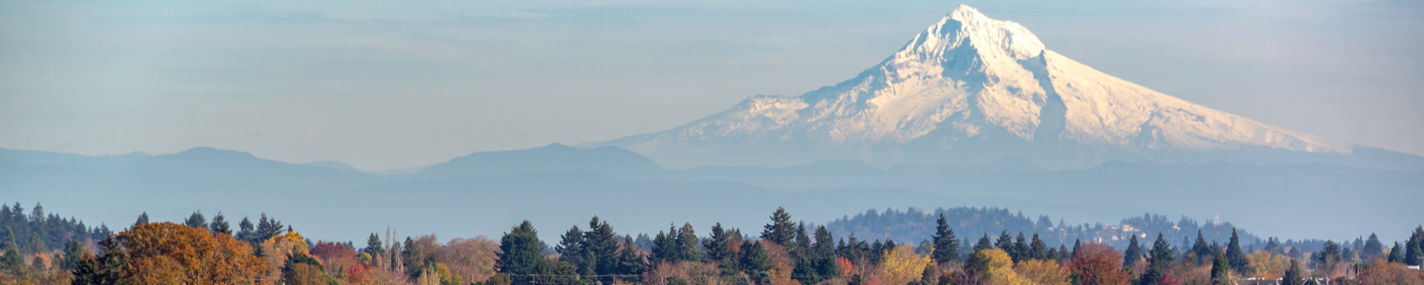 Cover photo for Linda P. Wilson's Obituary
