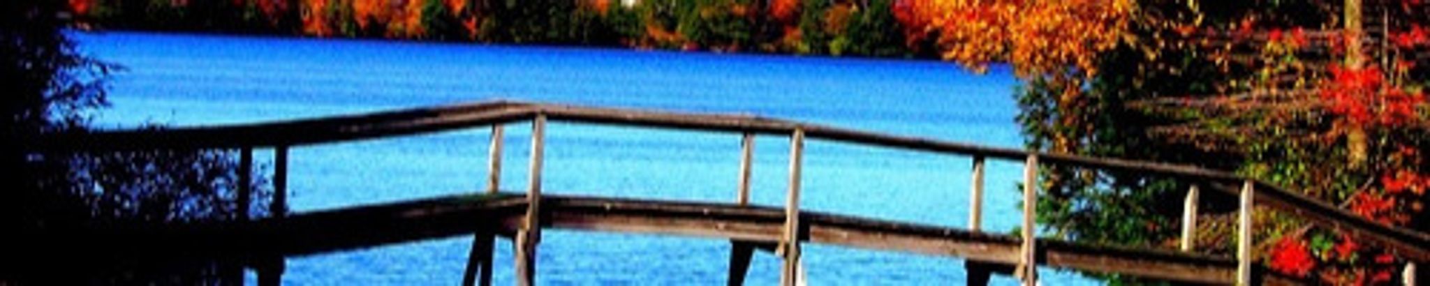 Cover for Ruth Ann Hopkins Ph.D.'s Obituary