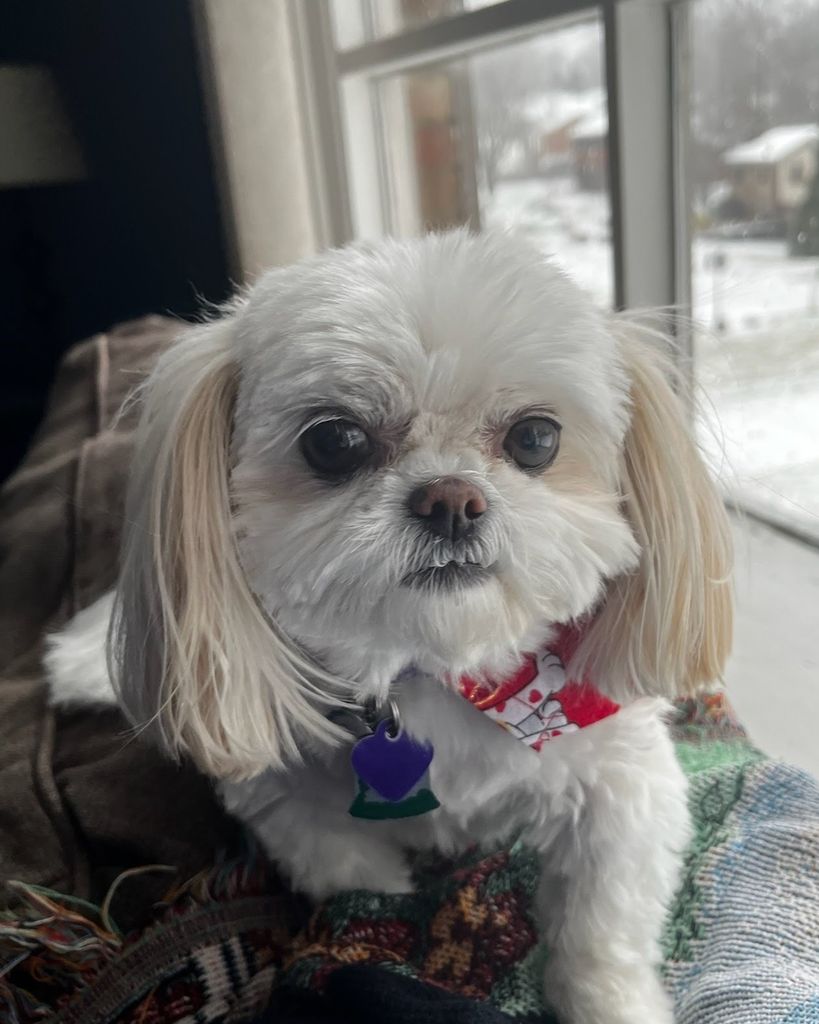 Izzy Saylor