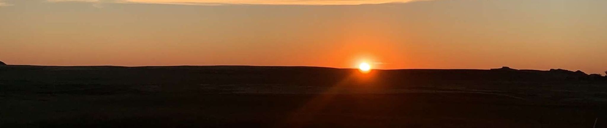 Cover photo for Denise Ann Losing's Obituary