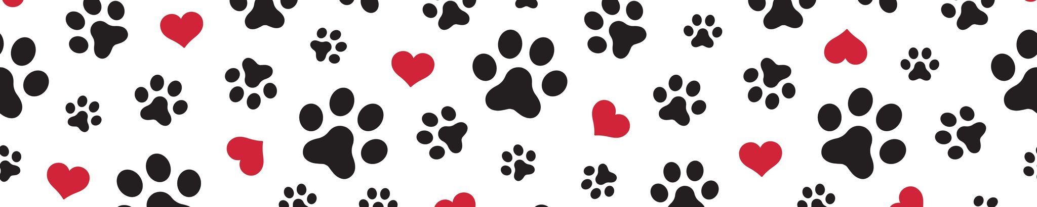 Cover for Lisa M. Caporizzo's Obituary