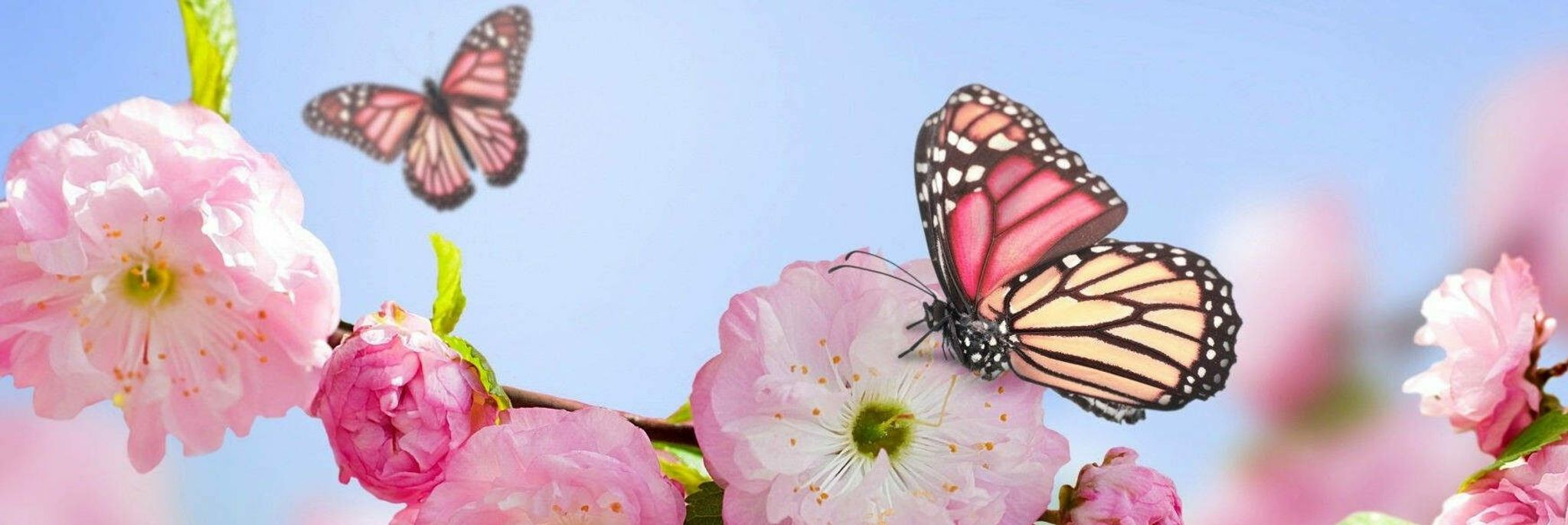 Cover photo for Tina Marie Keever's Obituary