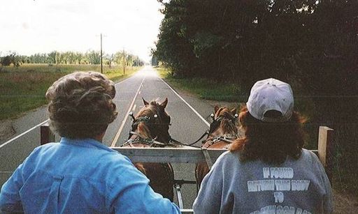 Evelyn  C. Freiheit photo gallery thumbnail 60 of 88