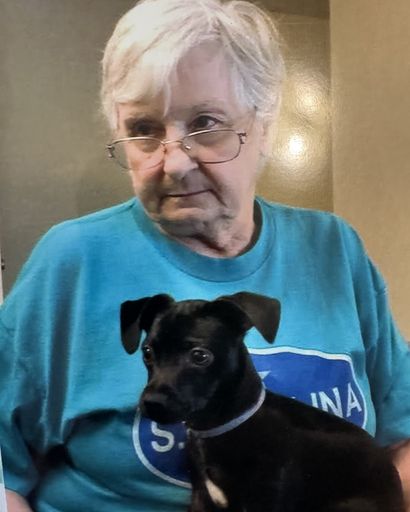 Diane M. Routhier's obituary image