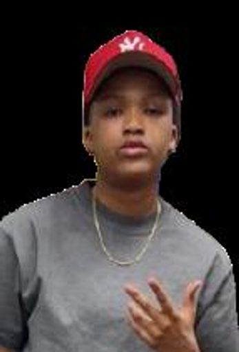 Shanautica Tieon Parks's obituary image