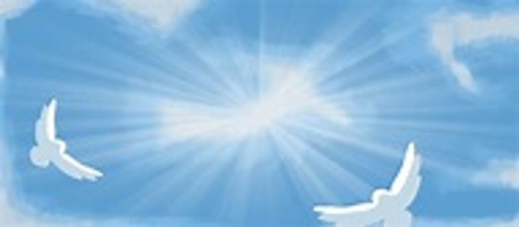 David Laroy Hall Profile Photo