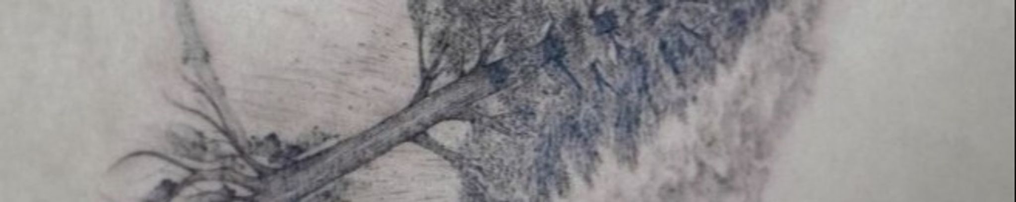 Cover for Kohen Parker St. Pierre's Obituary