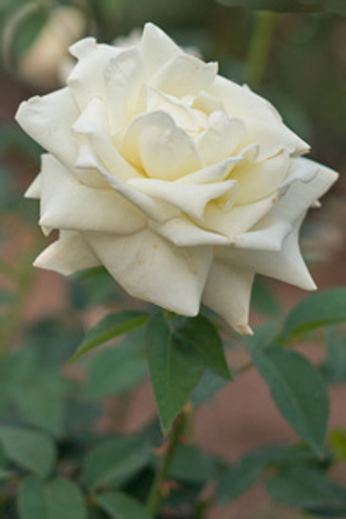 Eric B. Marsh Profile Photo