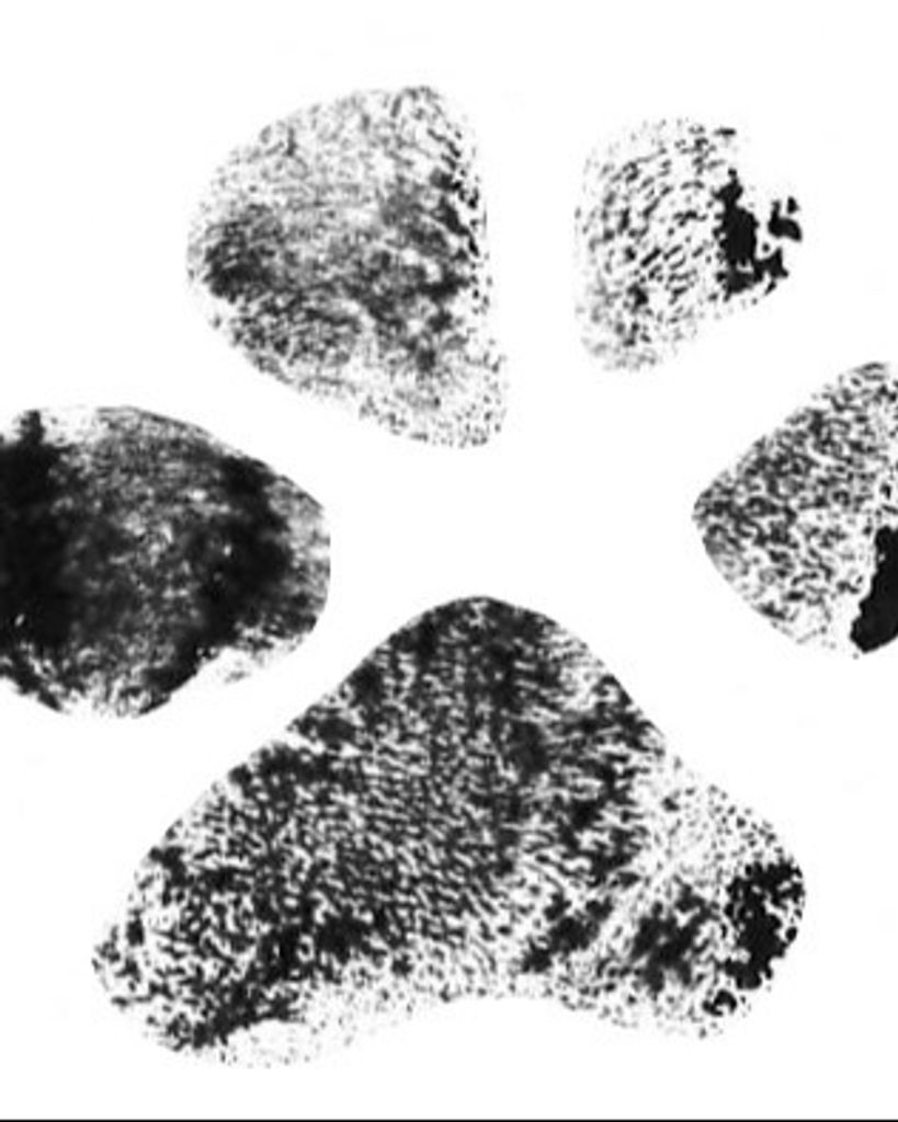 Roxie Hellenschmidt Profile Photo