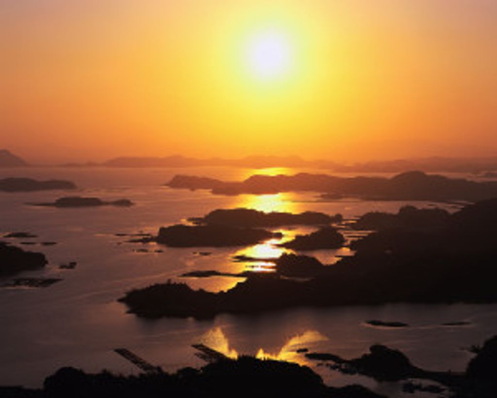 Marcia Antoinette Wruck