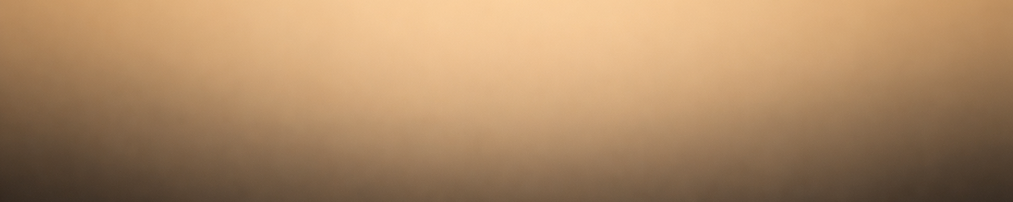 Cover for Sandra Alexis White's Obituary