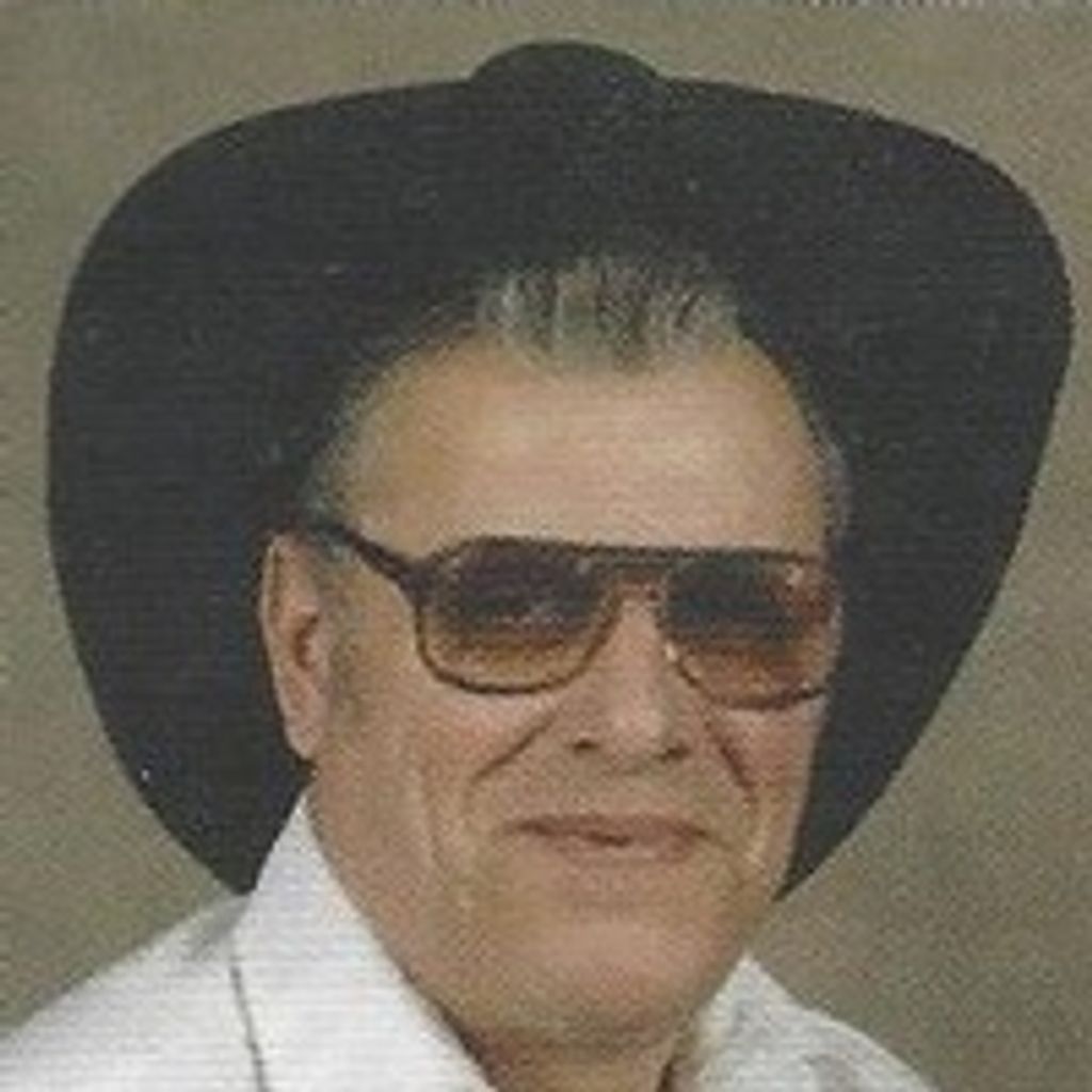 Donald  M Anderson