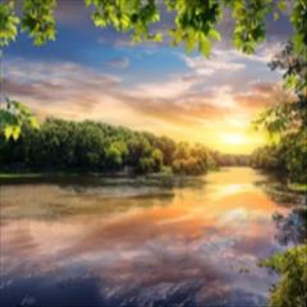 David Matthew Henry Profile Photo