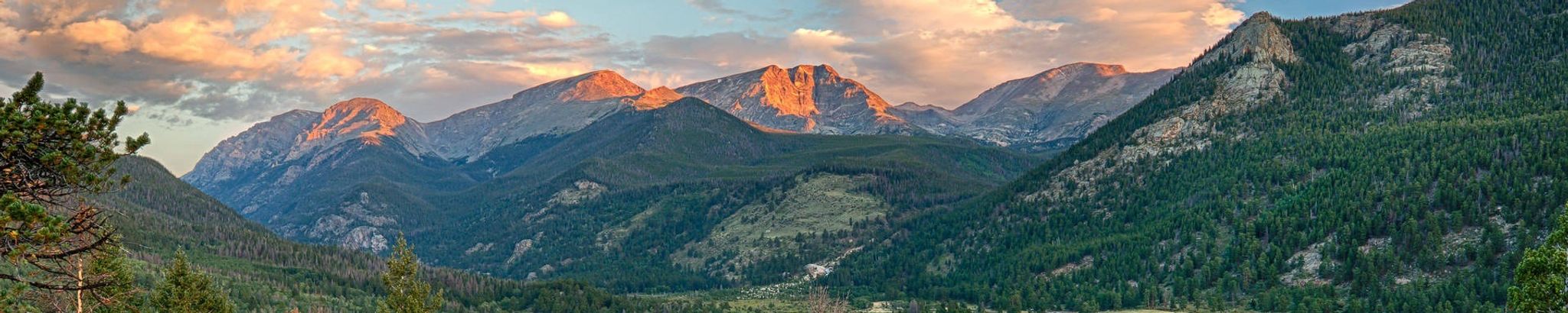 Cover for J. Diane Haag's Obituary