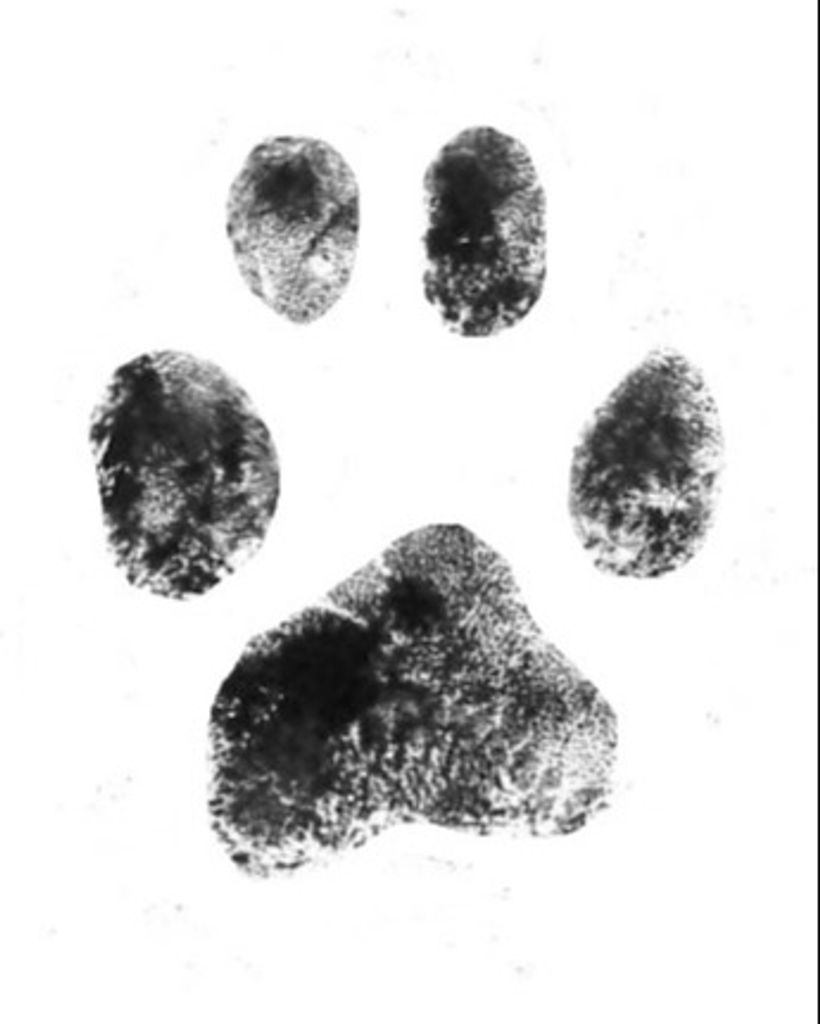 Sugar Hollar Profile Photo