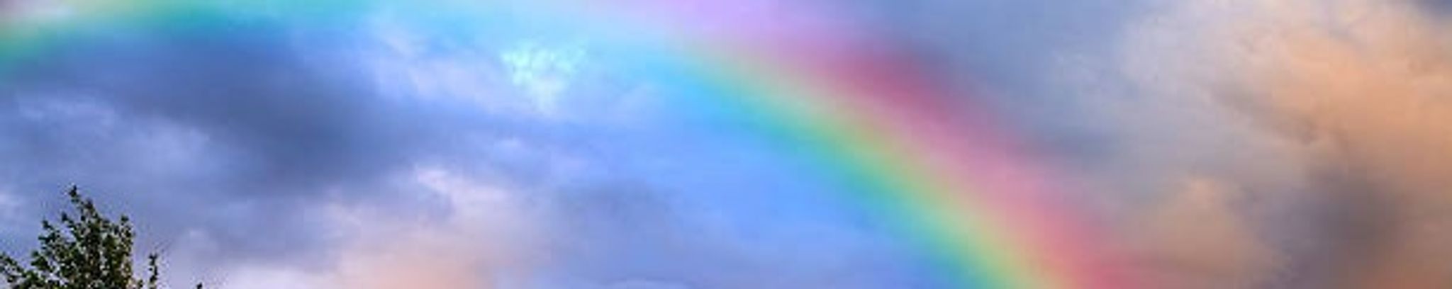 Cover photo for Lisa Marie Roesner's Obituary