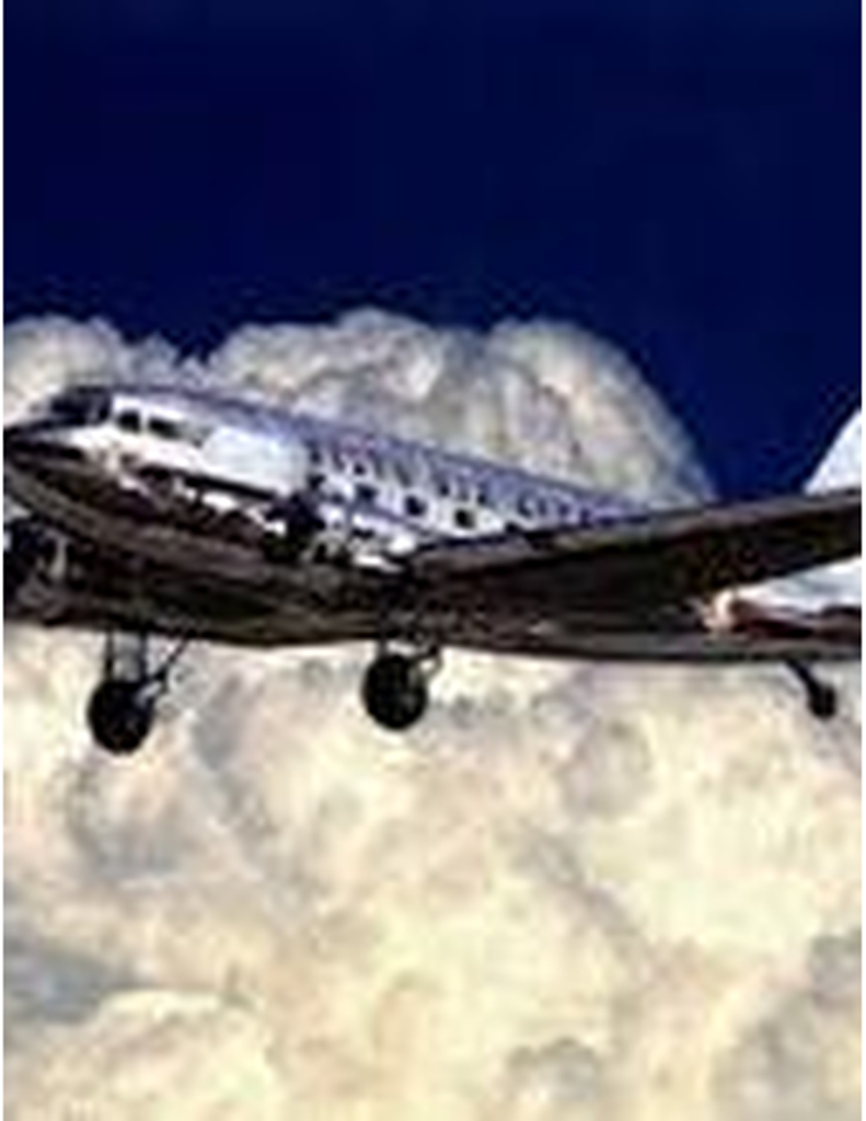 Susan Lynn Stewart Knight